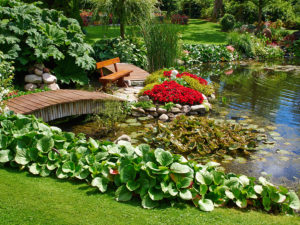 Gartenteich selber bauen im eigenen Garten