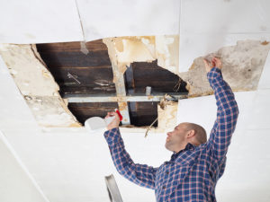 Schimmel an der Decke der Wohnung entfernen