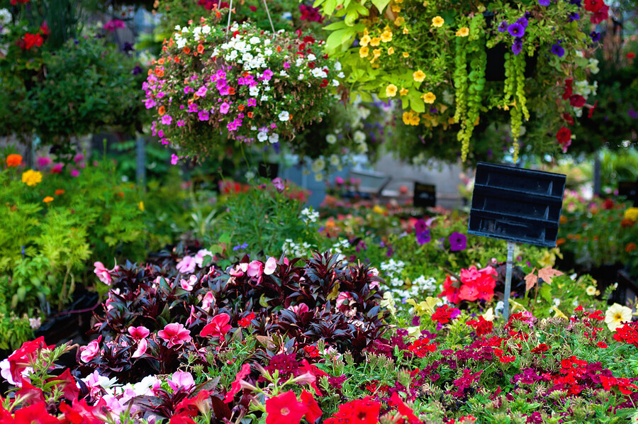 Blumenbeet anlegen - Tipps und Ideen zur Gestaltung im Garten